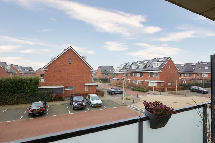 Foto 24 van Buxushaag 74