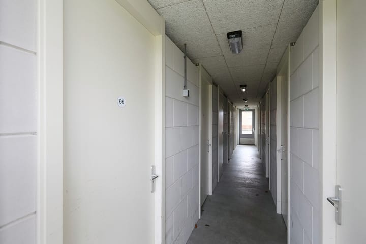 Foto 36 van Buxushaag 74