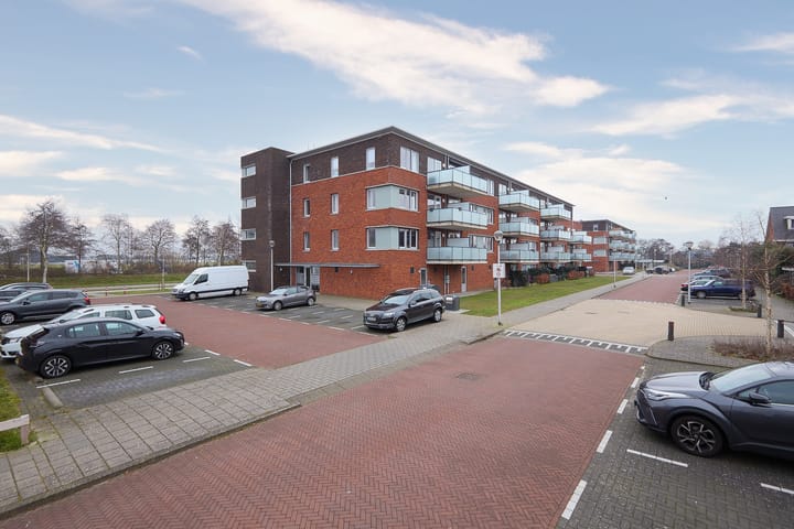 Foto 37 van Buxushaag 74