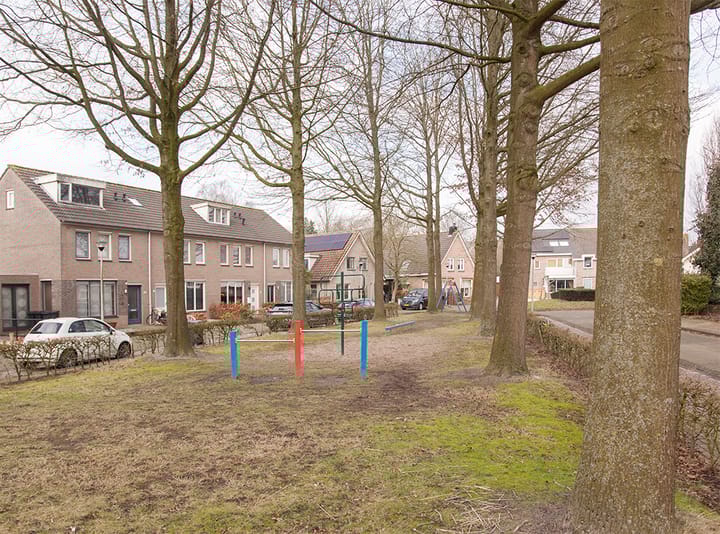 Foto 36 van Bijenweide 31