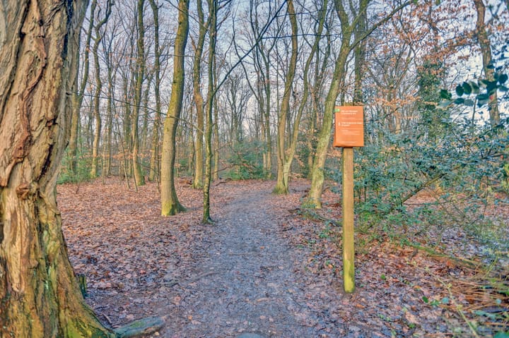 Foto 52 van Klaverberg 32