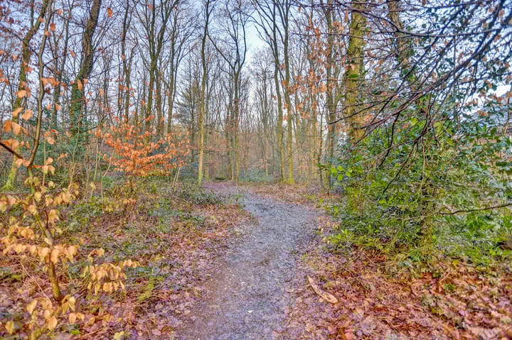 Foto 53 van Klaverberg 32