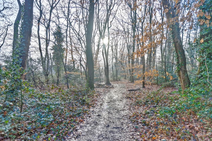 Foto 54 van Klaverberg 32