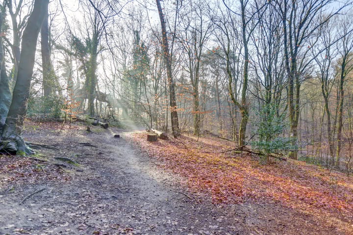 Foto 61 van Klaverberg 32