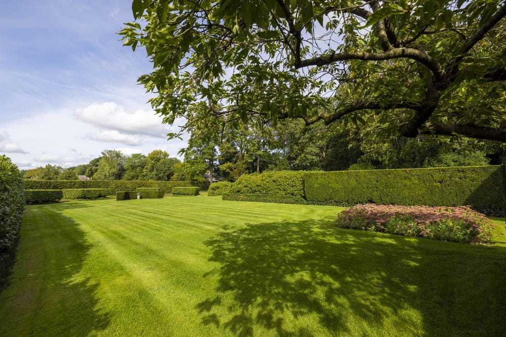 Photo 49 of Lookersdijk 2