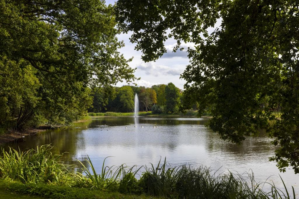 Photo 51 of Lookersdijk 2