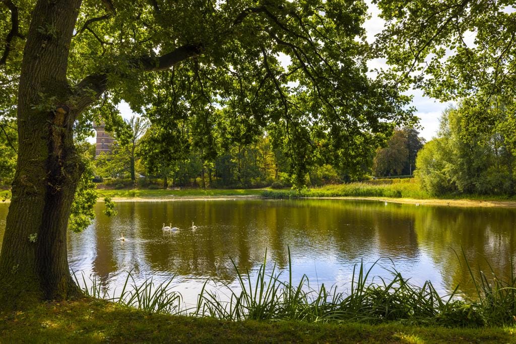 Photo 53 of Lookersdijk 2