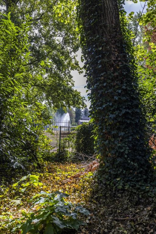 Foto 54 van Lookersdijk 2