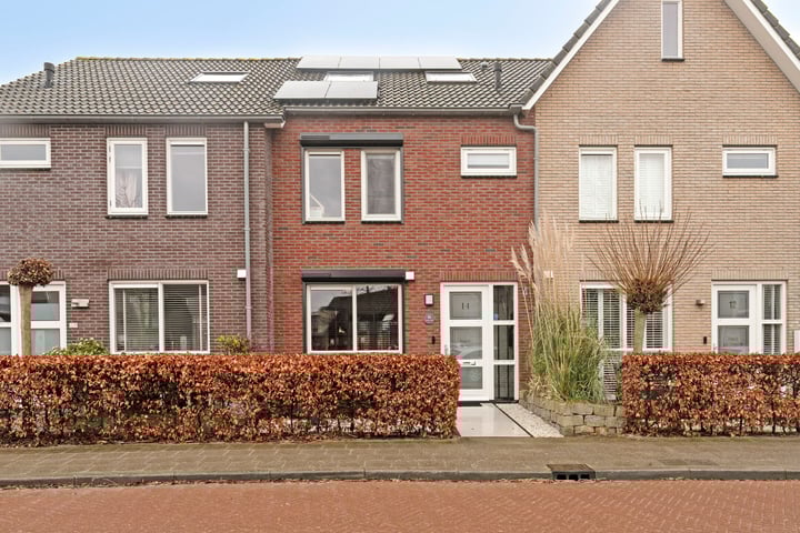 Foto 1 van Mangaan 14