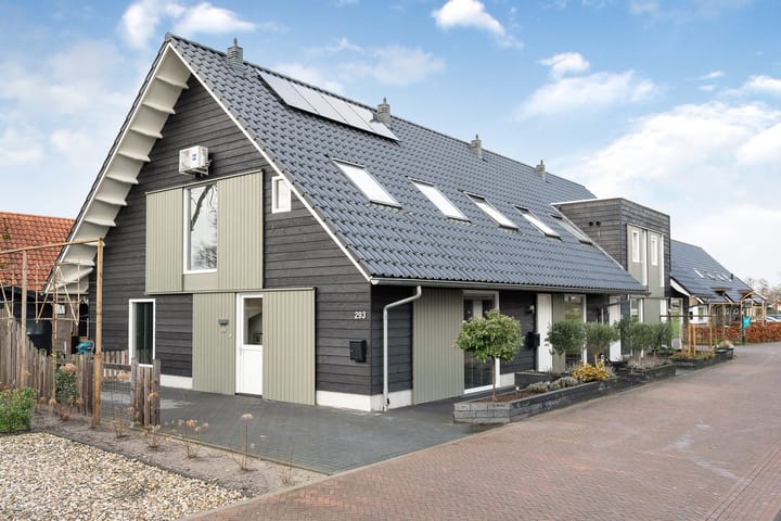 Foto 1 van Gemeenteweg 293