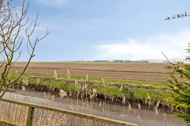 Foto 55 van De Werf 12