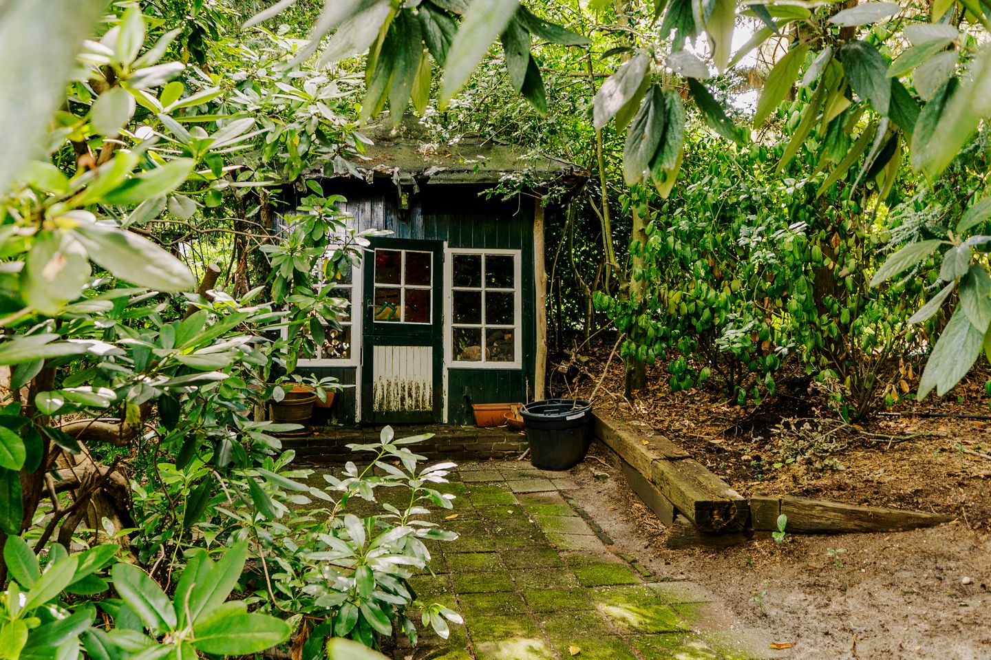 Foto 50 van Rossinilaan 8