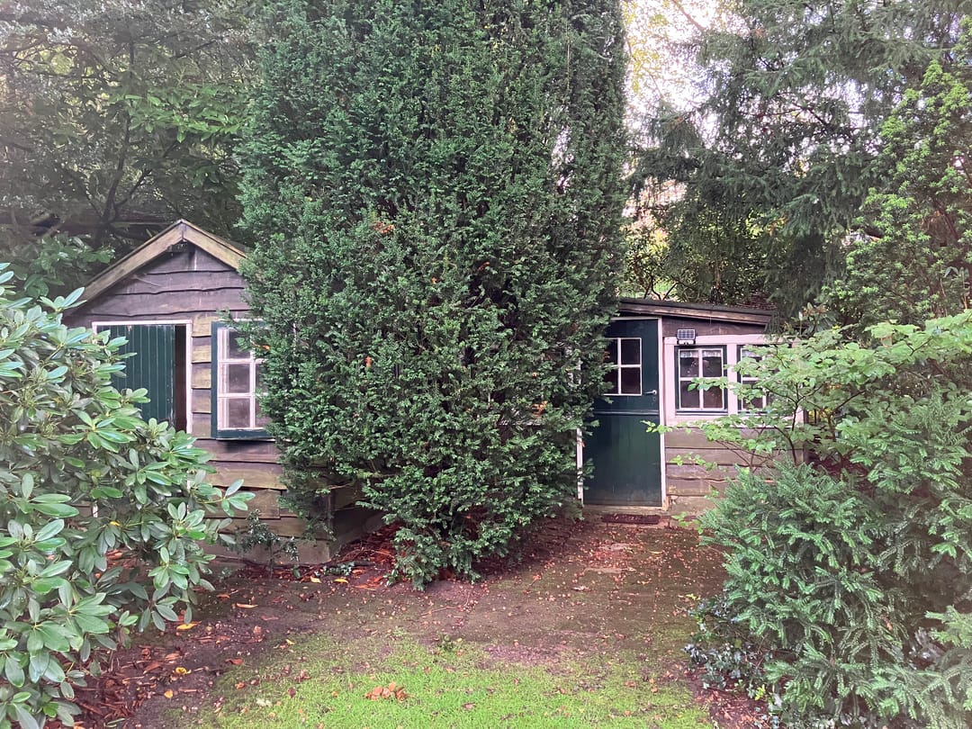 Foto 53 van Rossinilaan 8