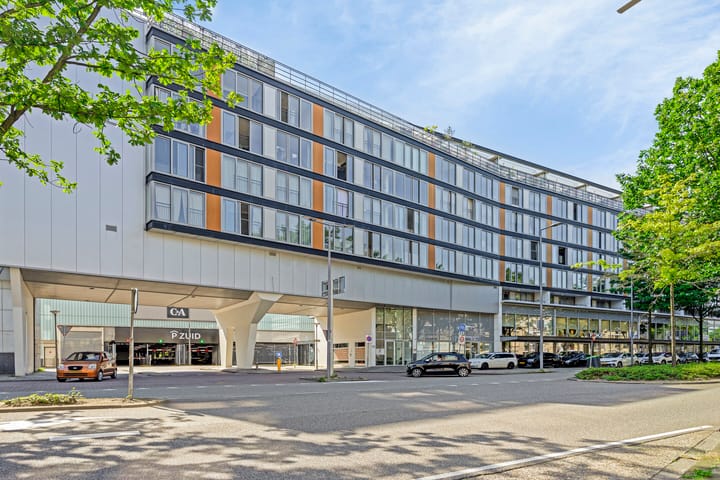 Foto 1 van Grote Beer 37