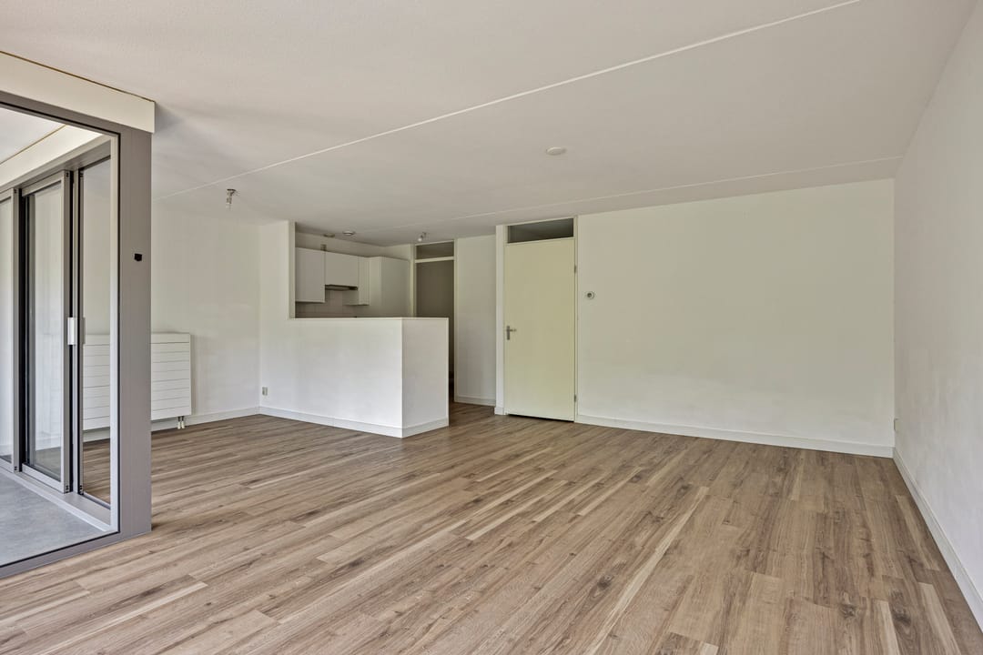 Foto 2 van Grote Beer 37