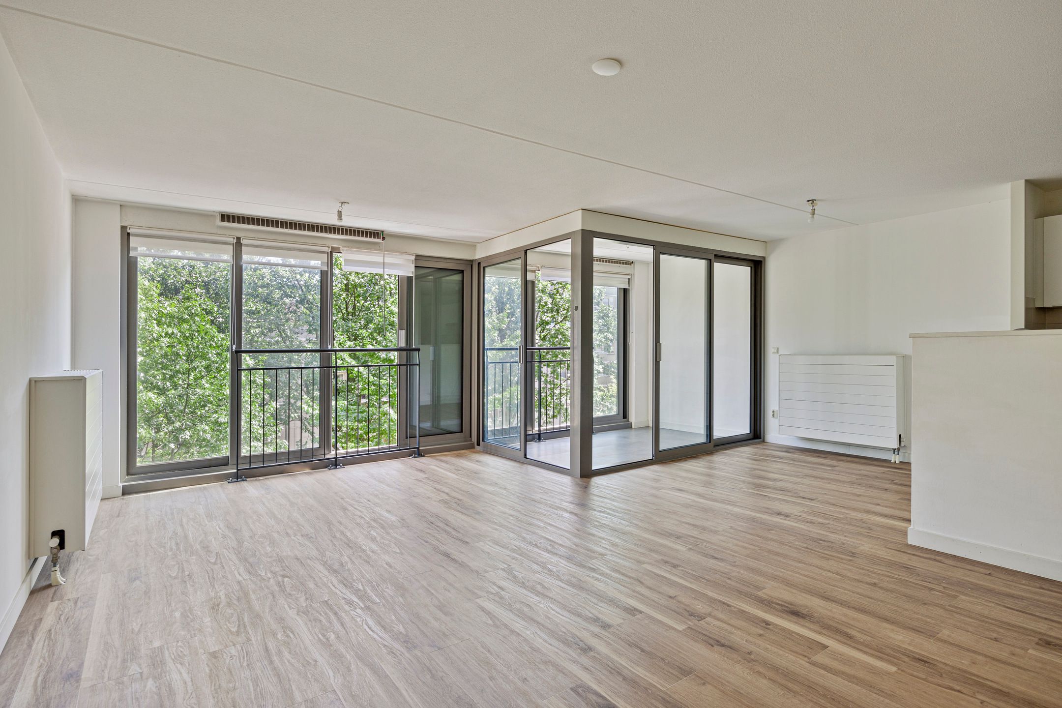 Foto 3 van Grote Beer 37