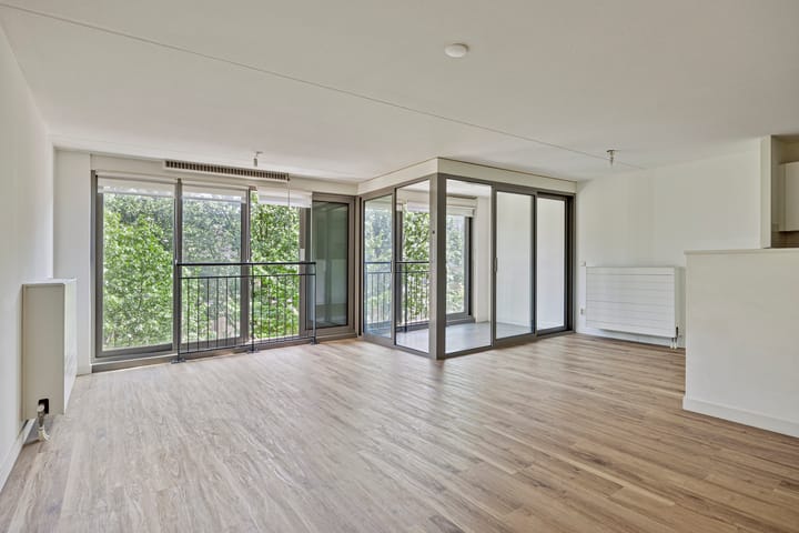 Foto 3 van Grote Beer 37