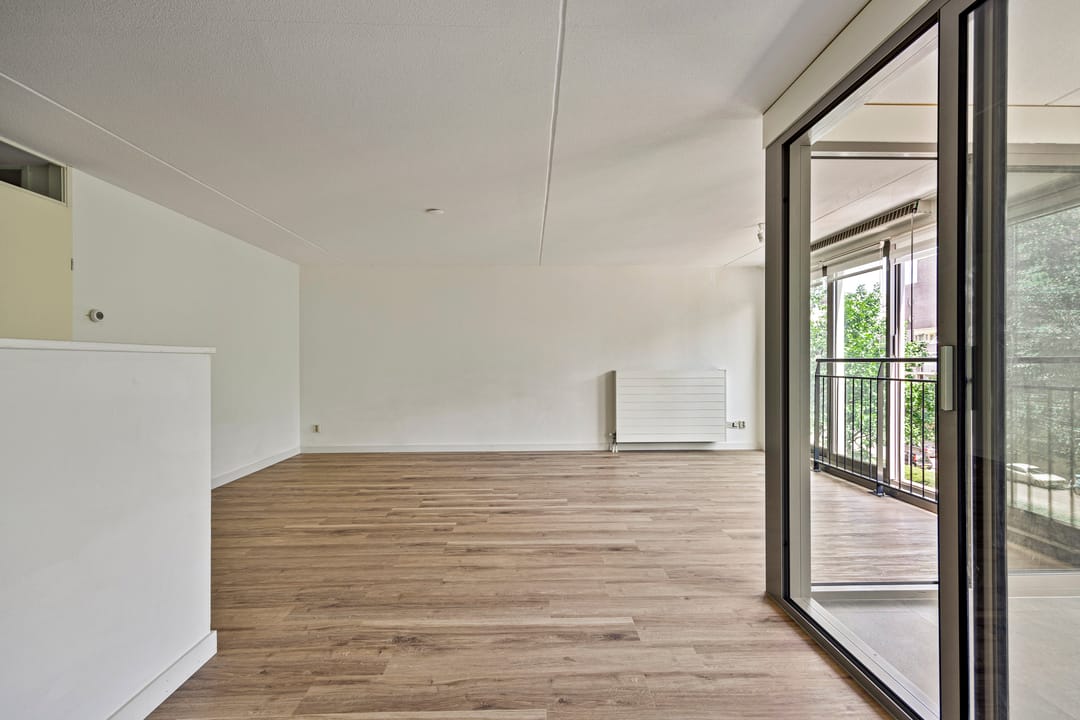 Foto 8 van Grote Beer 37