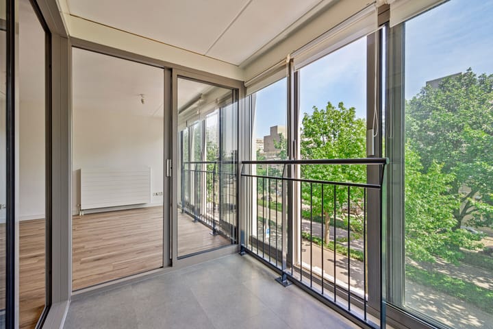 Foto 10 van Grote Beer 37