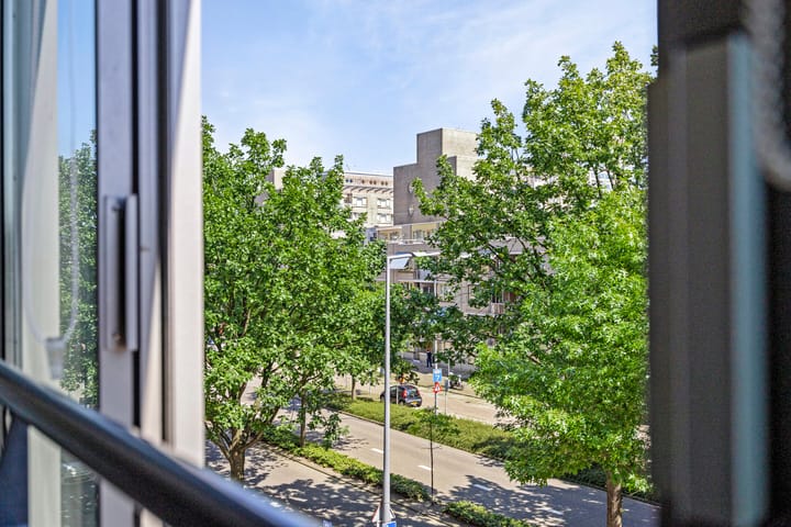 Foto 11 van Grote Beer 37