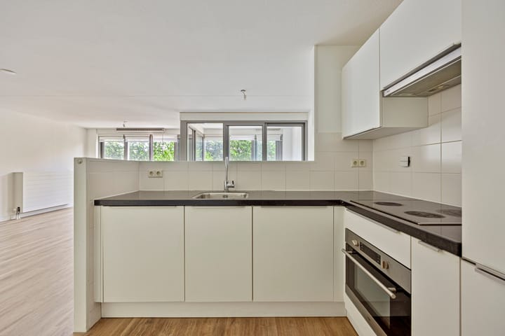 Foto 14 van Grote Beer 37