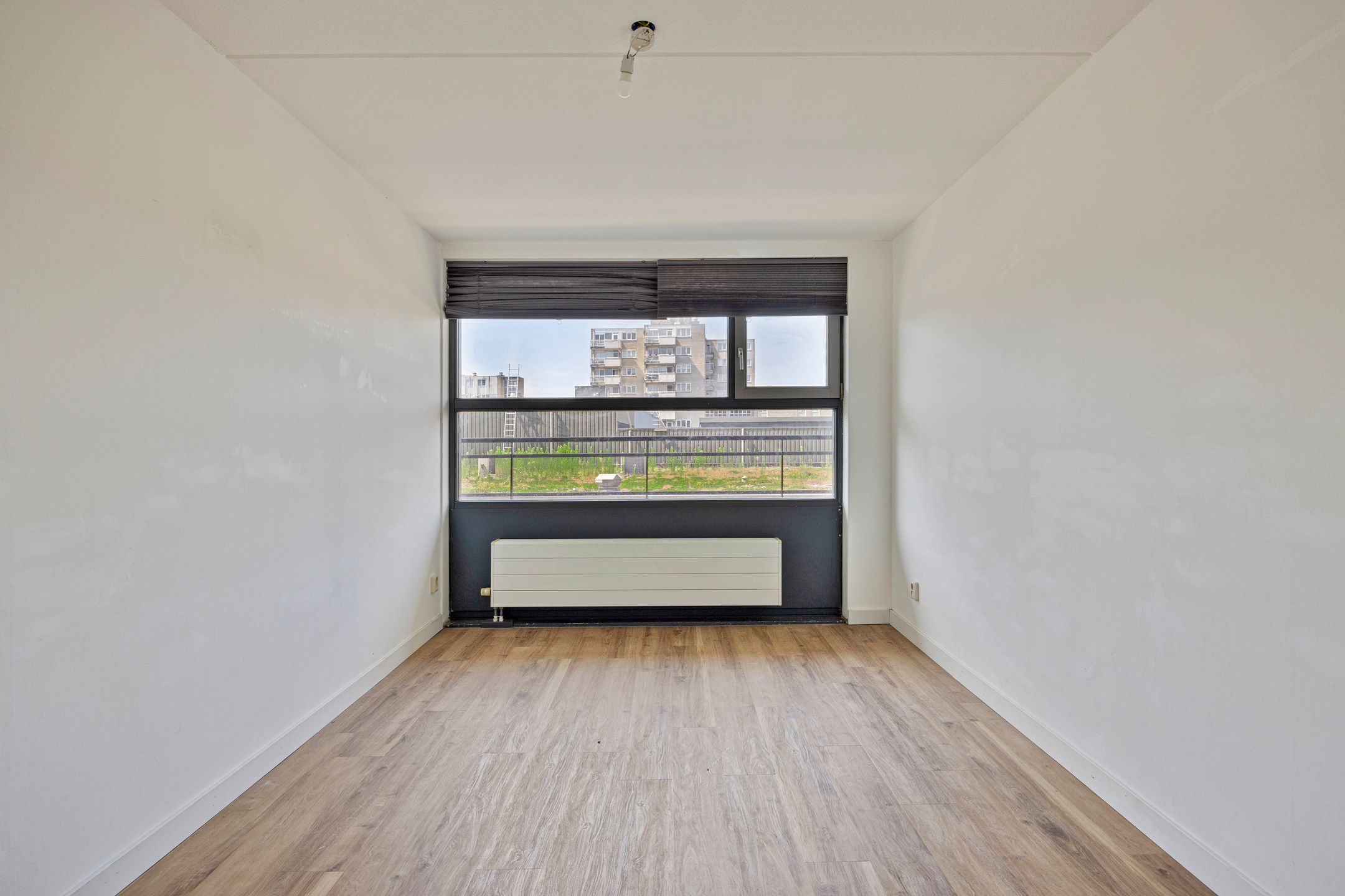 Foto 15 van Grote Beer 37