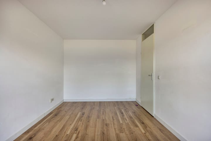 Foto 16 van Grote Beer 37