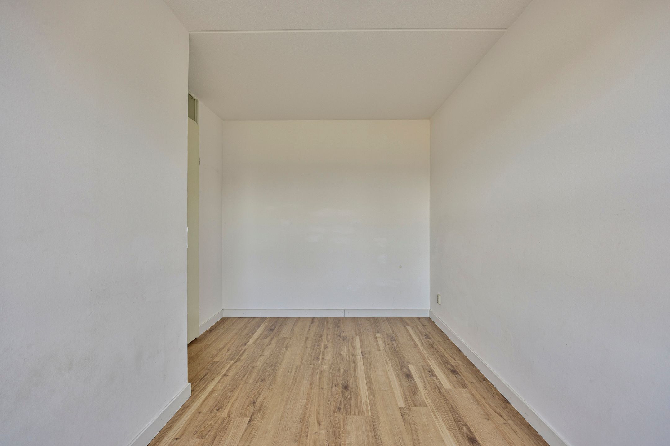 Foto 18 van Grote Beer 37