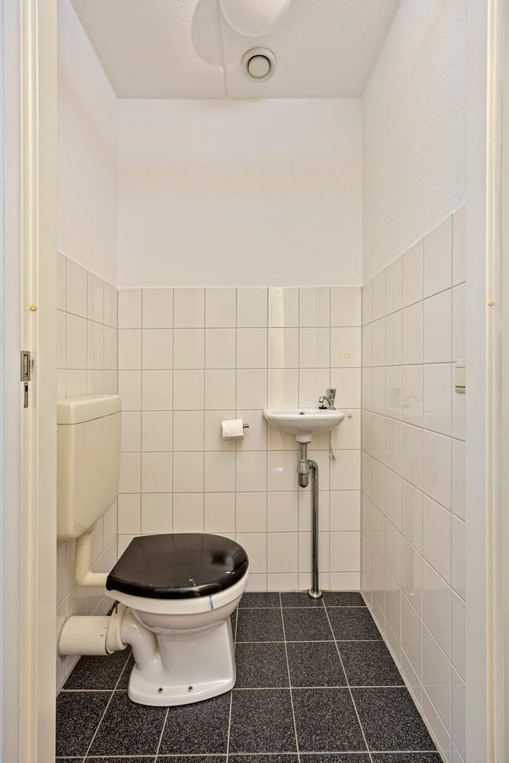 Foto 21 van Grote Beer 37