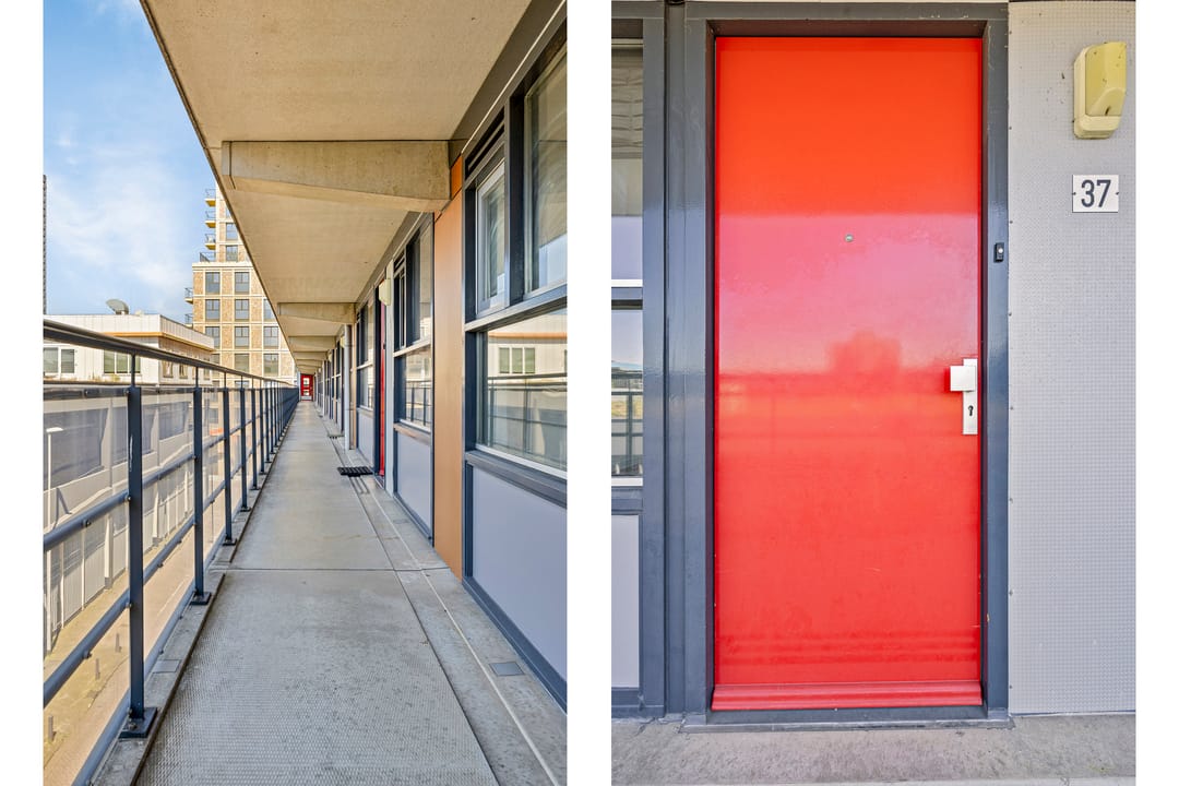 Foto 22 van Grote Beer 37