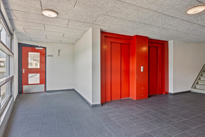 Foto 23 van Grote Beer 37