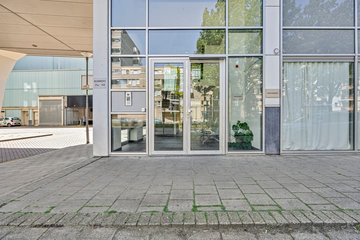 Foto 25 van Grote Beer 37