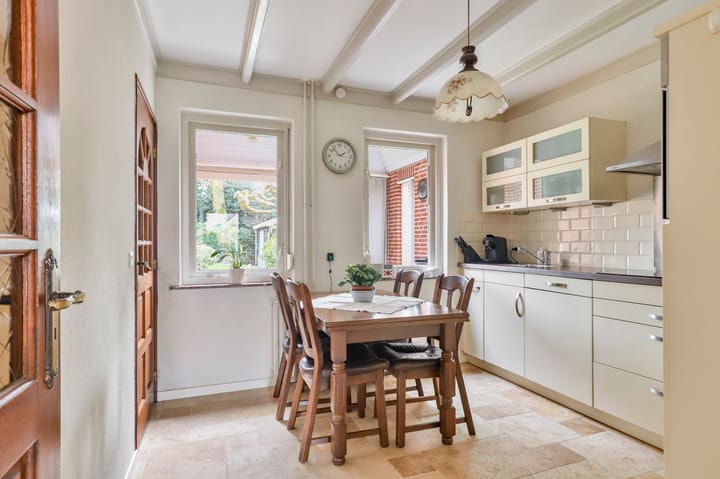 Foto 6 van de Lijsterbes 19