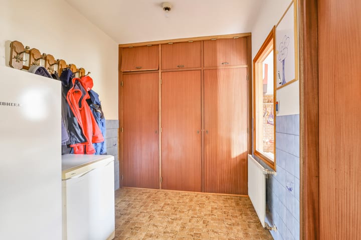 Foto 8 van de Lijsterbes 19