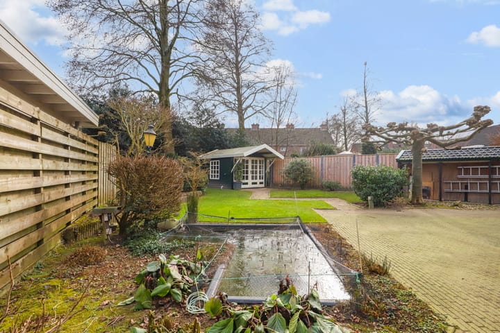 Foto 13 van de Lijsterbes 19