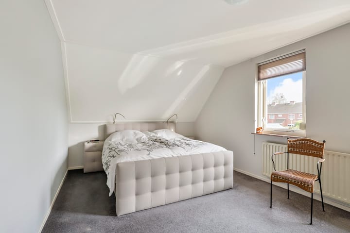 Foto 18 van de Lijsterbes 19