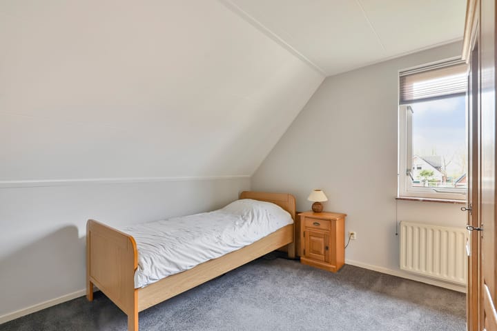 Foto 21 van de Lijsterbes 19