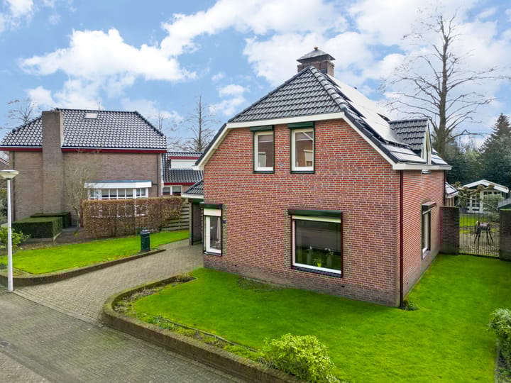 Foto 27 van de Lijsterbes 19