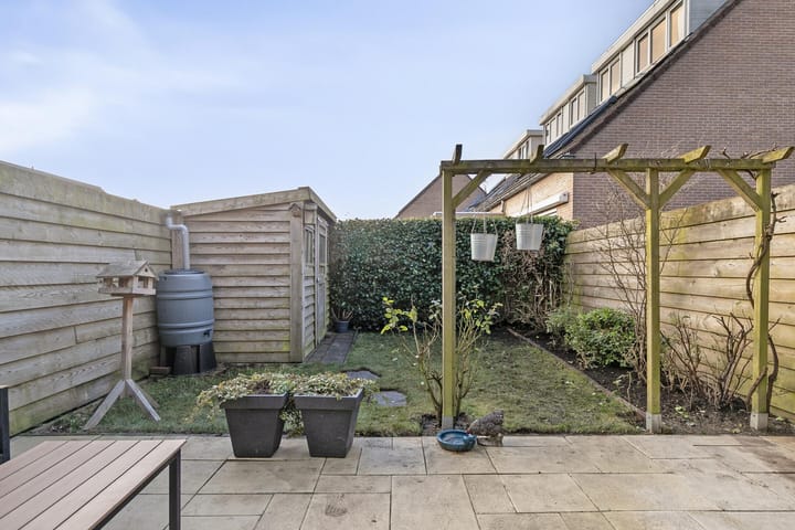 Foto 25 van Akelei 37