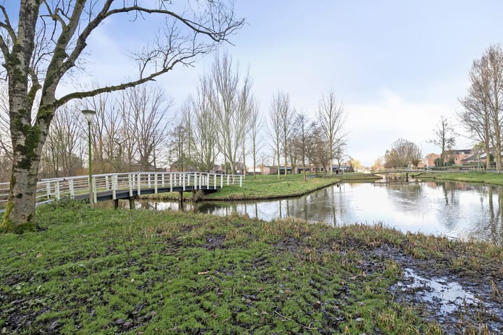 Foto 30 van Akelei 37