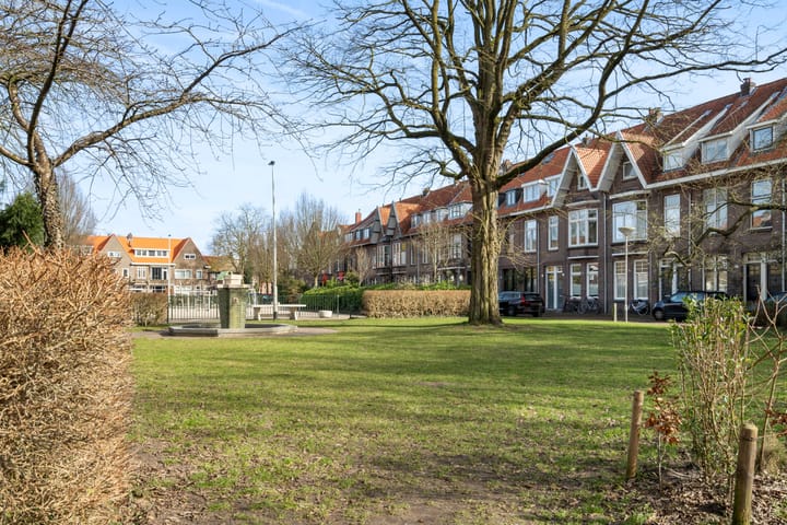 Foto 42 van Hyacintplein 12