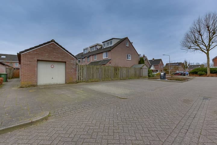 Foto 2 van Gentiaan 50