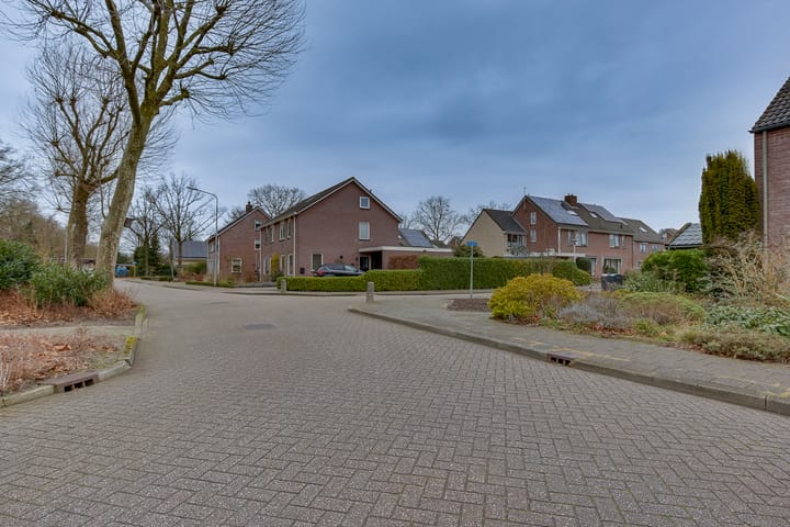 Photo 33 of Gentiaan 50