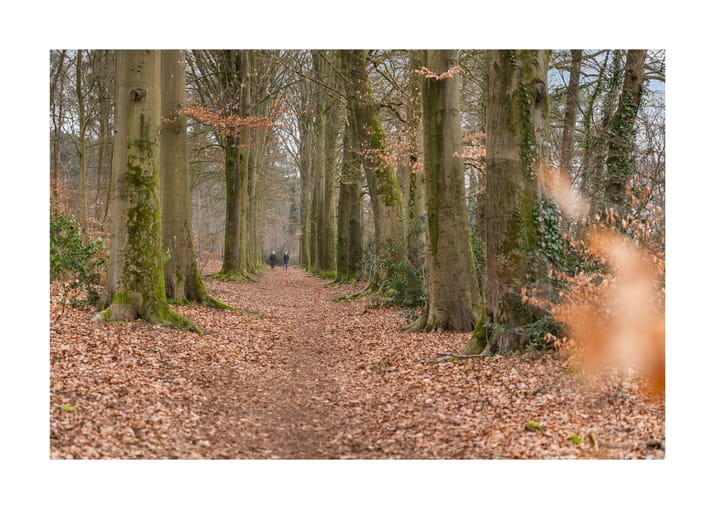 Foto 45 van Granietstraat 62