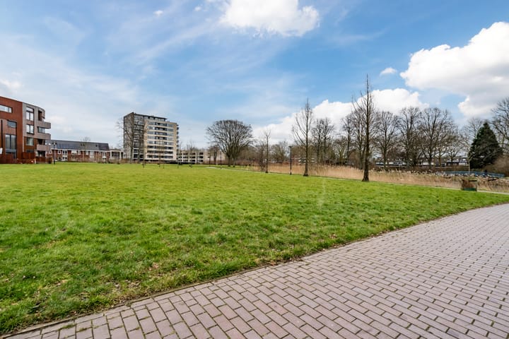 Foto 37 van Klokjesbloem 3