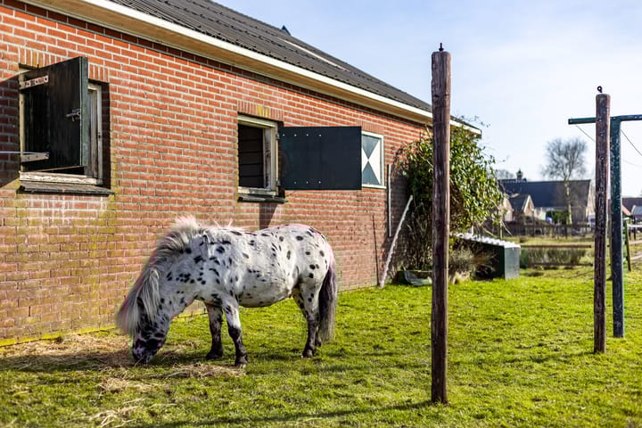 Foto 9 van P W Janssenweg 49