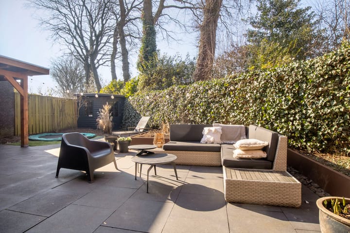 Foto 2 van Satijnzwam 25