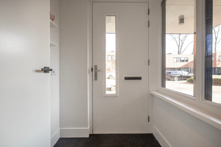 Foto 18 van Satijnzwam 25