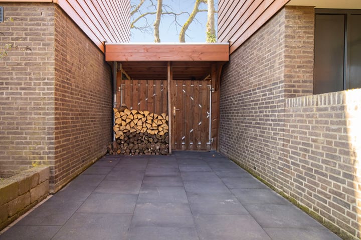 Foto 32 van Satijnzwam 25