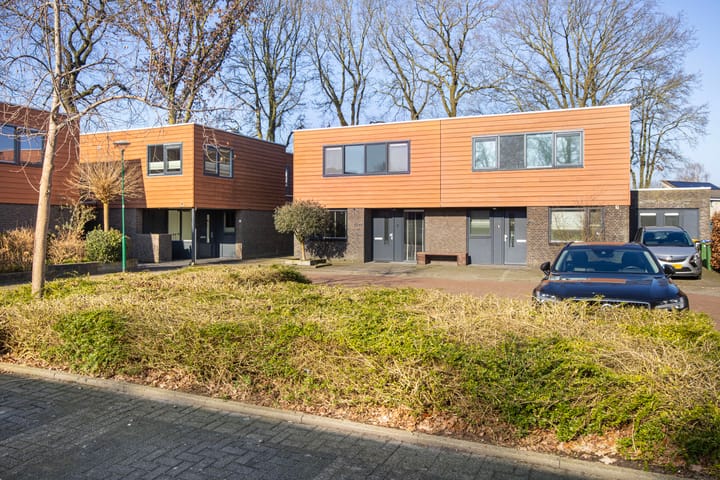 Foto 34 van Satijnzwam 25